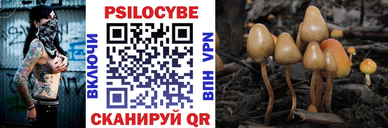 Псилоцибиновые грибы мухоморы  Можга 